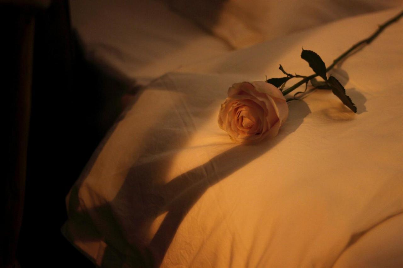 Moonlight Hotel Τσενγκντού Εξωτερικό φωτογραφία